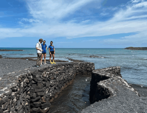 Aloha ʻĀina – “Love of the Land”